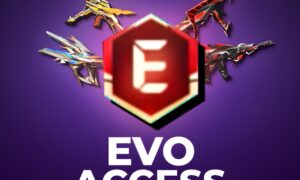 Free Fire Evo Access