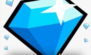 Weekly Membership & Lite (Combo)